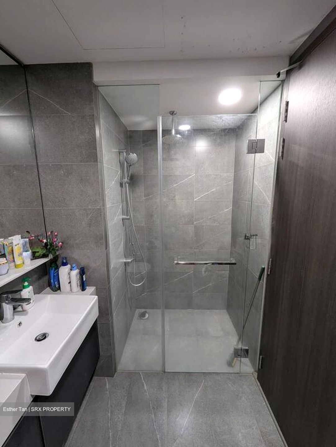 Riverfront Residences (D19), Apartment #514901811